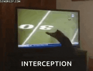 a cat is playing a game of football on a television screen with the words interception written below it .