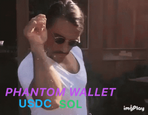 Phantom Wallet Solana GIF - Phantom Wallet Solana Usdc GIFs