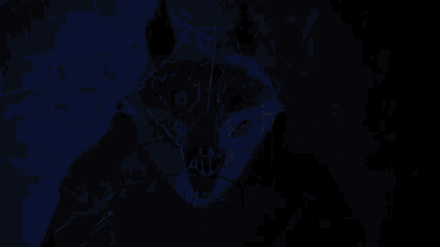 a drawing of a wolf with the word starcat in red