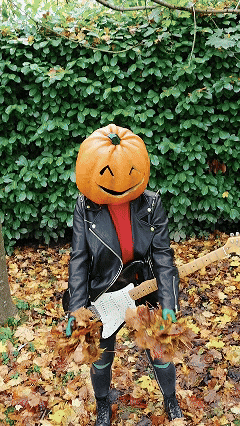 a person with a pumpkin on their head is holding a guitar