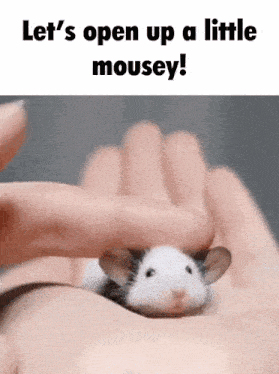 Mouse Childinblender GIF - Mouse Childinblender Childinablender GIFs