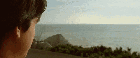 a man is looking out at the ocean from a cliff .