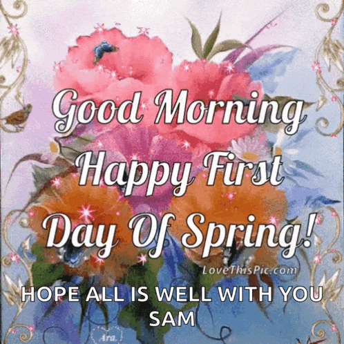 a good morning happy first day of spring greeting card