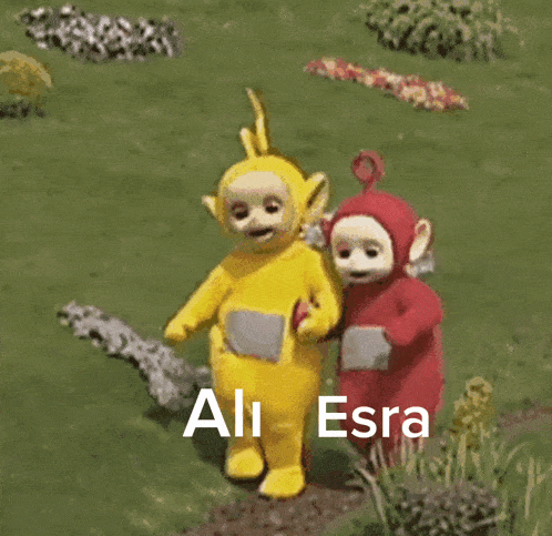 two teletubbies are standing next to each other in a field with the words ali esra written on the bottom