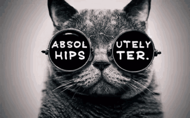 a cat wearing glasses that say absol hips utely ter