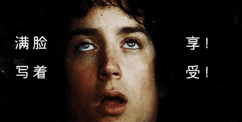 Enjoy Elijah Wood GIF