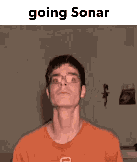 Sonar Sonarcord GIF - Sonar Sonarcord Going Sonar GIFs