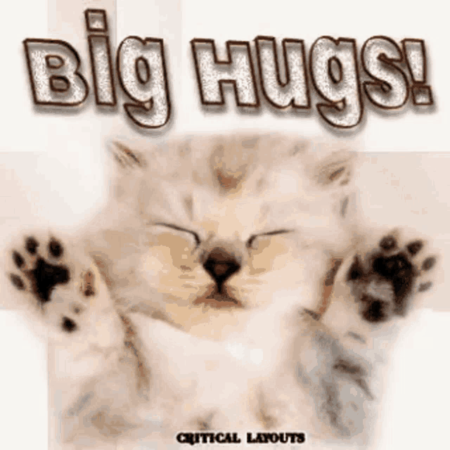 Hugs GIF