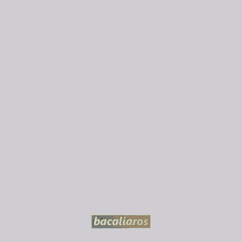 the year 2019 is surrounded by confetti and the word bacaliaro is on the bottom