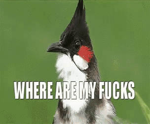 a bird is perched on a branch with the words `` where are they '' written on the bottom .