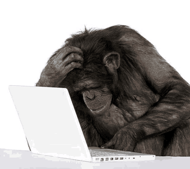 a chimpanzee is sitting at a table looking at a laptop