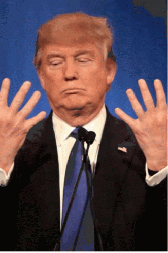 Trum Trump Is Toast GIF - Trum Trump Is Toast Impeach GIFs