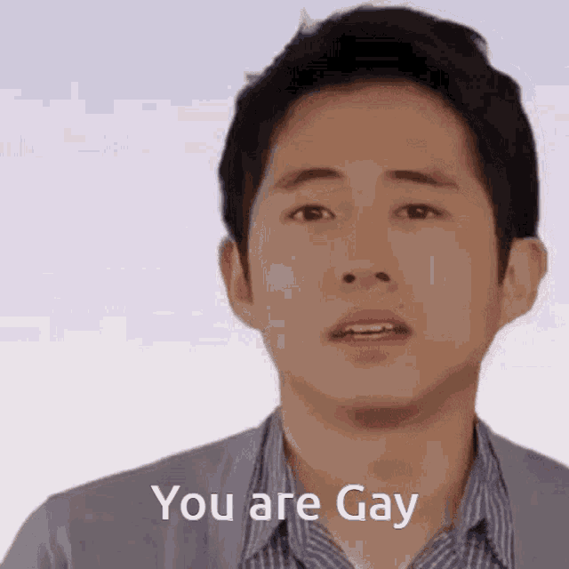 a man in a striped shirt is saying you are gay .