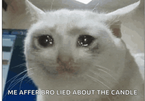a white cat with tears in its eyes and the words me after bro lied about the candle