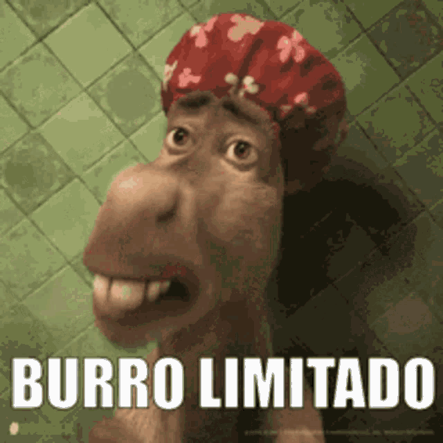 Burro Limitado Burro GIF - Burro Limitado Burro Limitado GIFs