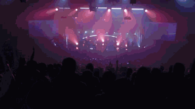 a crowd of people are watching a concert with purple lights
