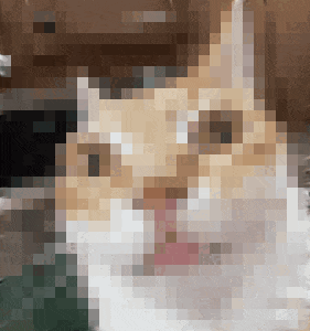 a pixelated image of a cat 's face with a pink tongue sticking out