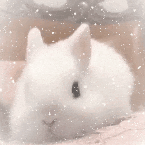 a person petting a white rabbit with snow falling
