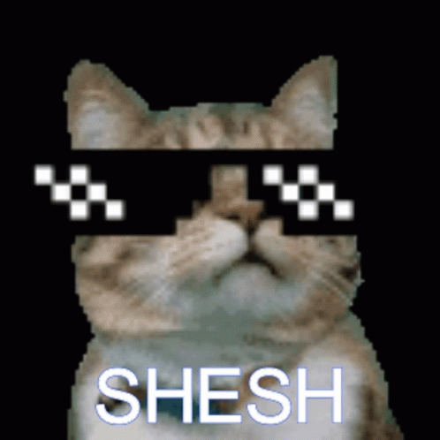 Shesh Sheesh GIF - Shesh Sheesh Sheesh Cat GIFs