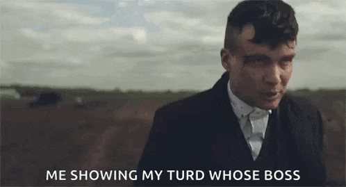 a man in a suit and tie is standing in a field and talking .