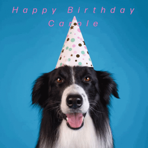 Birthday Wishes GIF - Birthday Wishes GIFs