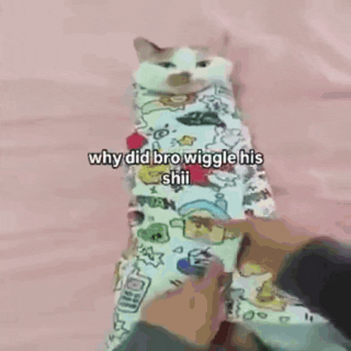 a cat is wrapped in a blanket and being held by someone .