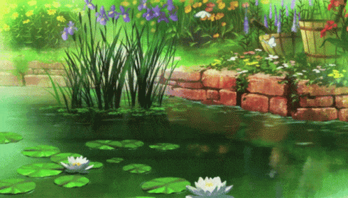 a pond with lily pads and flowers in it