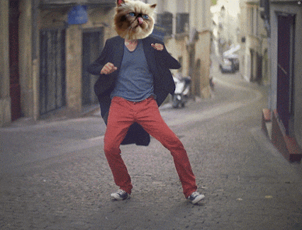 a man with a cat on his head is dancing