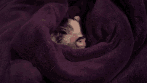 a small pig is wrapped in a purple blanket and looking out .