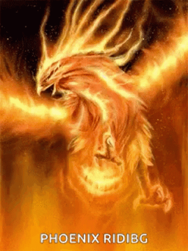 Phoenix GIF - Phoenix GIFs