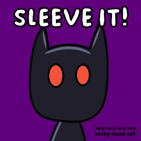 a very very very very lucky black cat says " sleeve it "