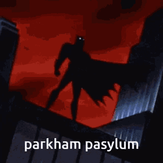 a cartoon of batman standing on top of a building with a caption that says parkham pasylum .