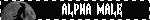 a black and white film strip with the words alpha male