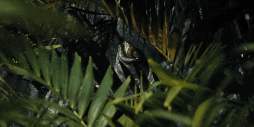 a close up of a dinosaur 's eye surrounded by green leaves