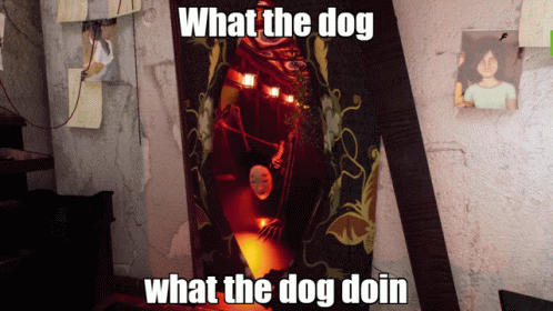 What The Dog Doin What The Dog Doing GIF - What The Dog Doin What The Dog Doing What The Dog GIFs