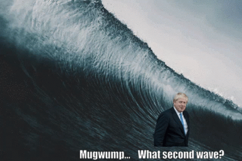 Mugwump What Second Wave GIF - Mugwump What Second Wave Wave GIFs