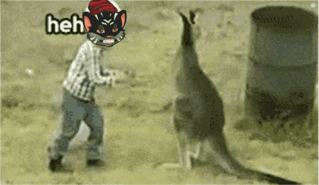 a kangaroo standing next to a person with the word heh on the bottom right
