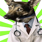 a german shepherd dressed as a doctor with stethoscopes around its neck