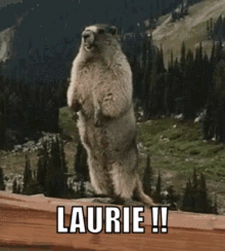 Laurie Hey GIF - Laurie Hey Calling GIFs