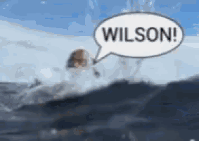 a speech bubble that says wilson is floating in the water