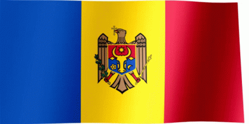 Moldova Flag GIF - Moldova Flag Flag Waver GIFs