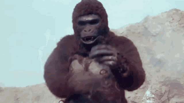 a gorilla is standing on top of a mountain holding a bottle .