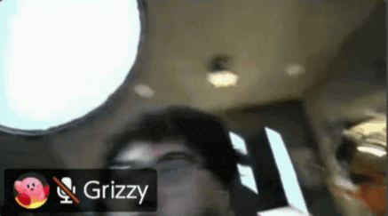 a screen shot of a video call with grizzly on it