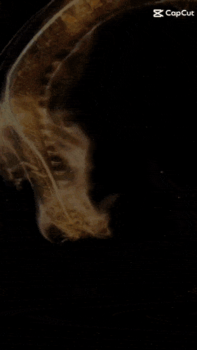 an animated image of a saxophone with the capcut logo in the upper right corner