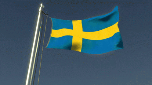 Sweden Flag GIF - Sweden Flag Flag Waver GIFs