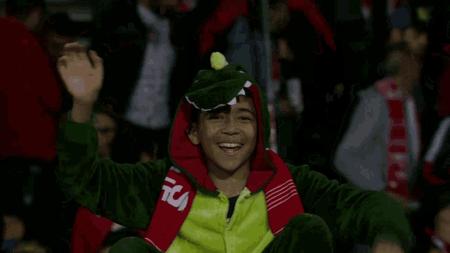 Nimes Olympique Supporter GIF