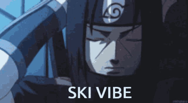 a picture of a ninja with the words ski vibe below it