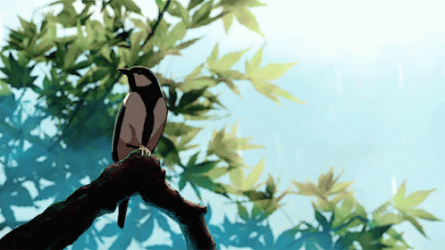 Bird Under The Rain GIF - Bird Under The Rain Rainy Weather GIFs