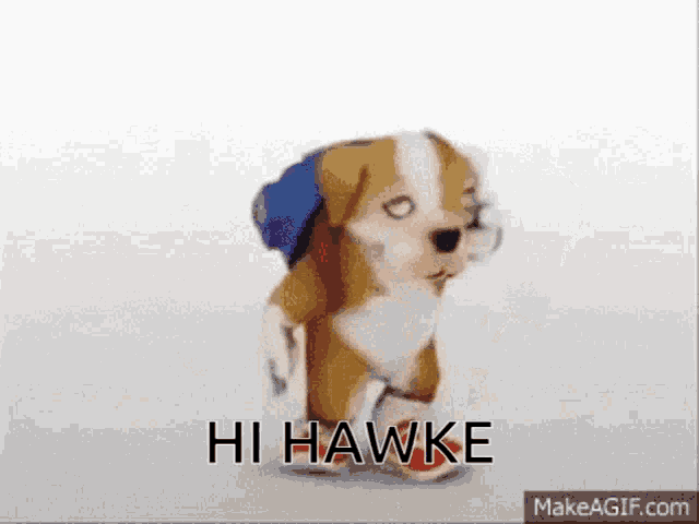 a cartoon dog is walking with the words hi hawke below it