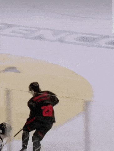 a hockey net with the word fku on the post